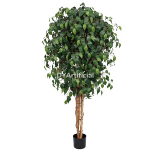 155CM Height Double Green Slim Ficus Tree 4 Trunks Indoor