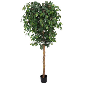 170CM Height Double Green Slim Ficus Tree 2 Trunks Indoor