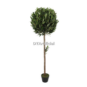 150CM Preserved Wooden Stem Olive Ball Tree