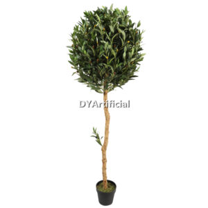 180CM Preserved Wooden Stem Olive Ball Tree