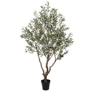 Olive Tree Disassembled 210CM Indoor KD