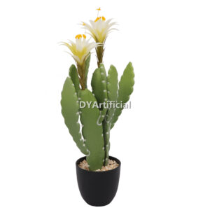 Two More Than Peacock Cactus Flowers 48CM Height Indoor