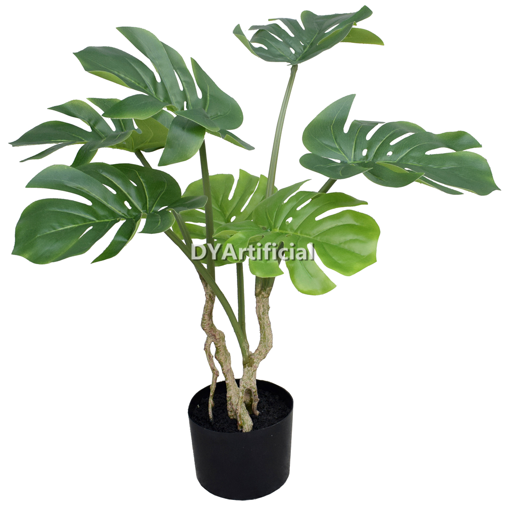 Potted Philodendron 60CM Indoor