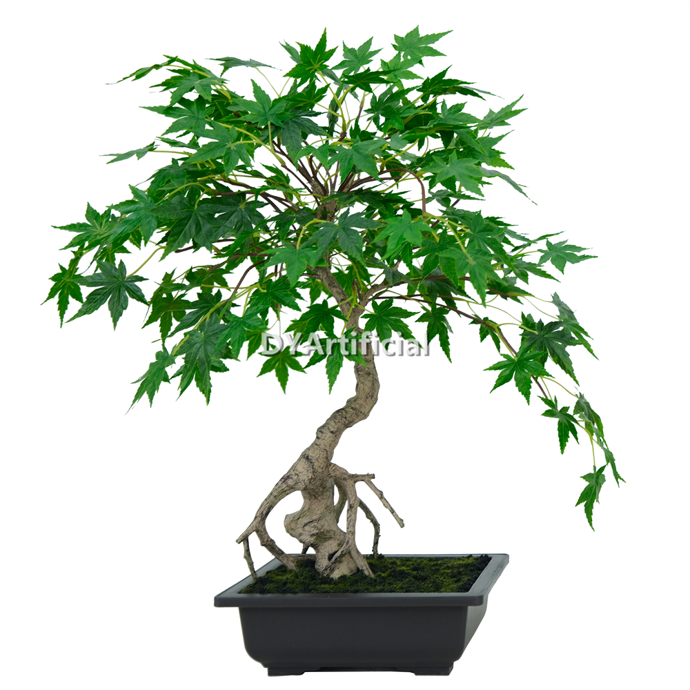 Nice Potted Green Maple 53CM Indoor