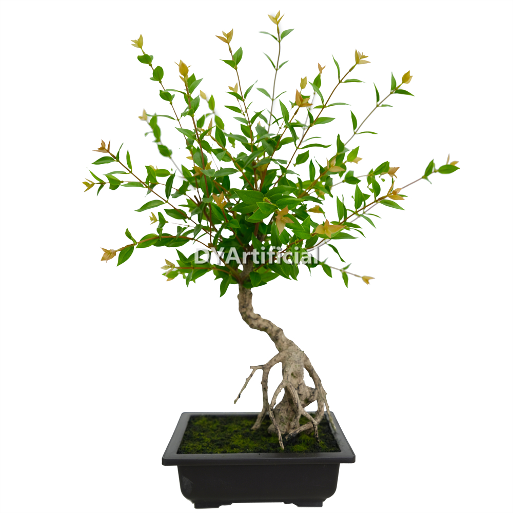 Nice Potted Eucalyptus 53CM Indoor
