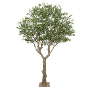 Olive Tree Disassembled 300CM Outdoor KD