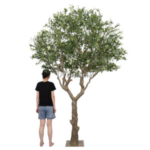 Olive Tree Disassembled 300CM Outdoor KD