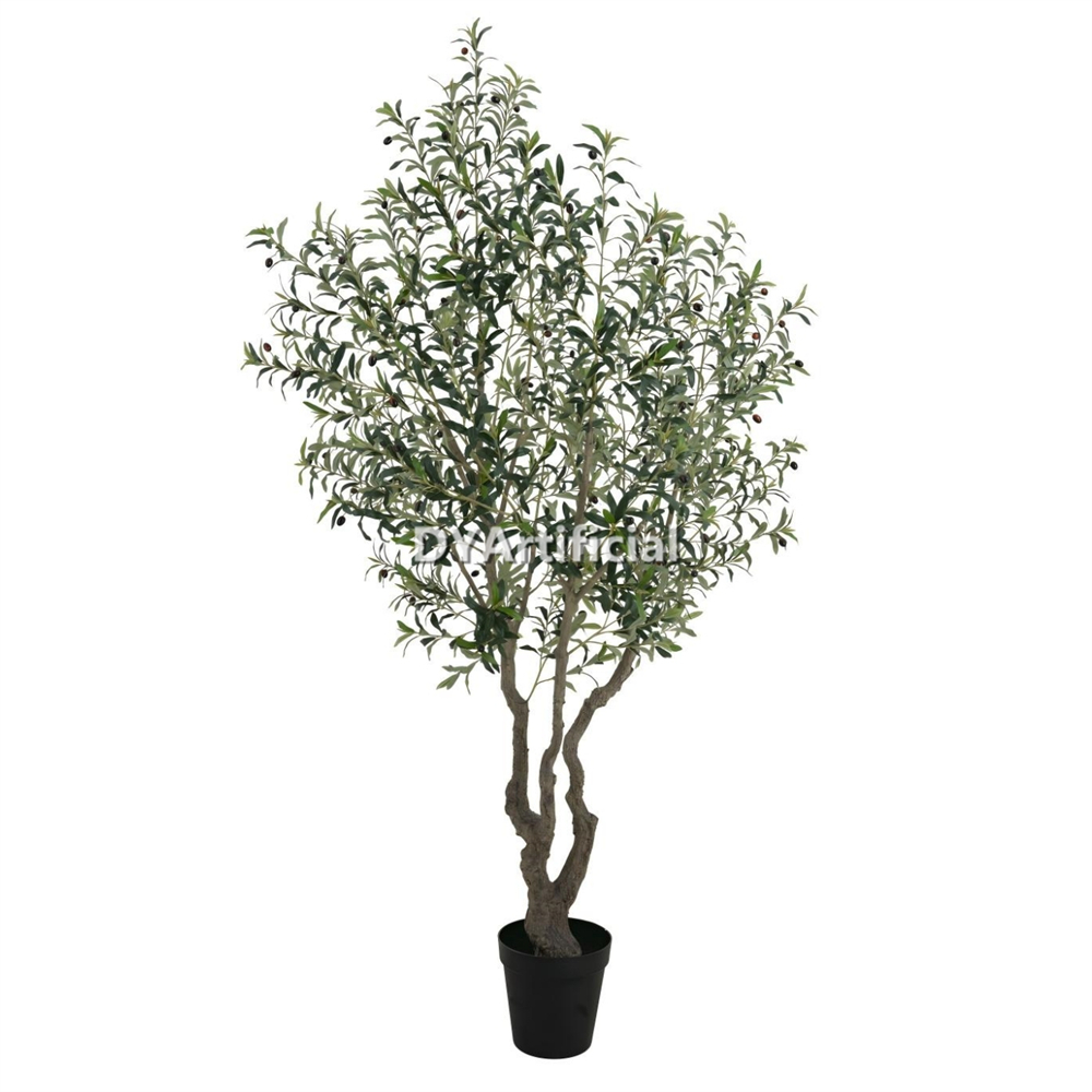 Olive Tree Disassembled 240CM Indoor KD