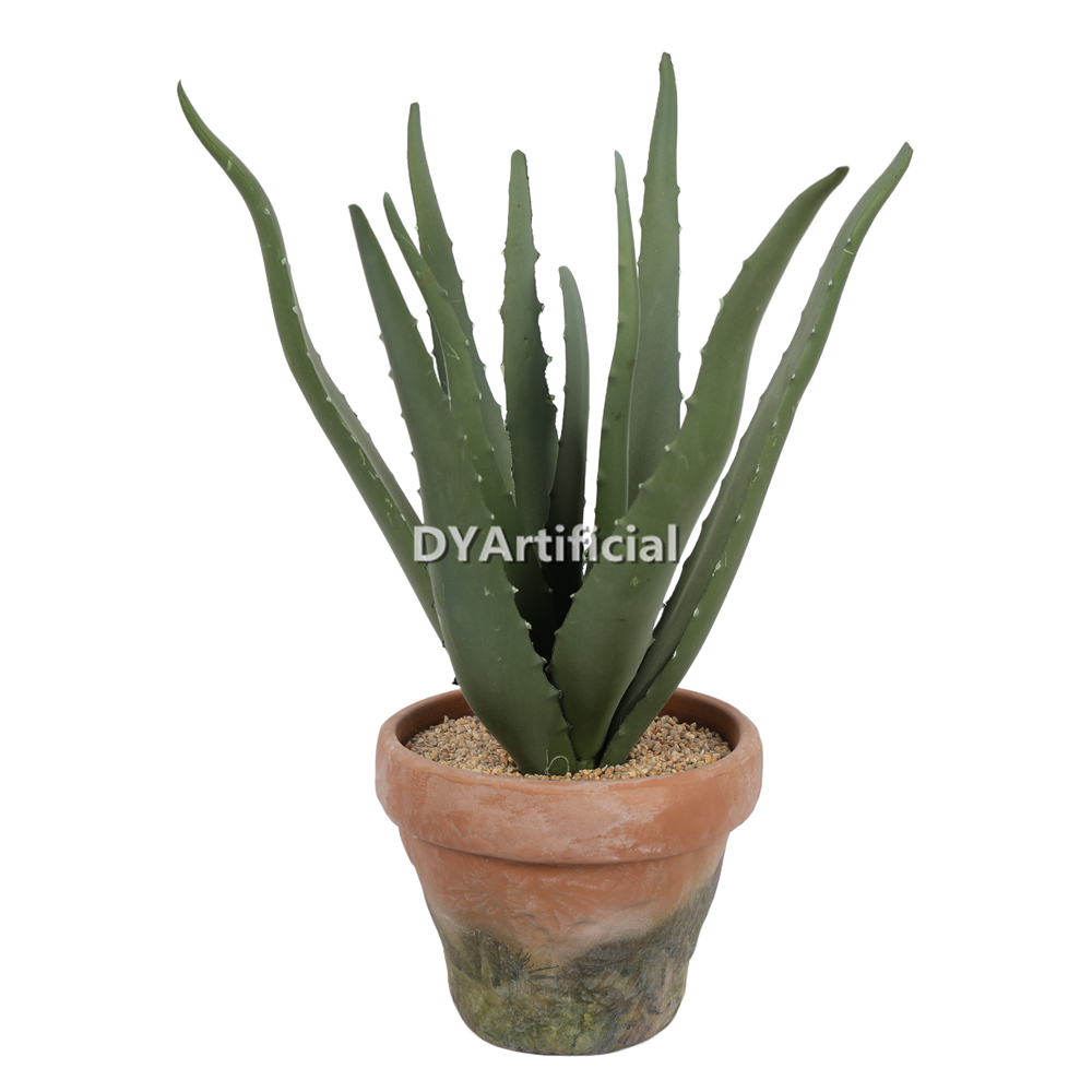 Aloe Vera In Eva Pot 39CM Height Indoor