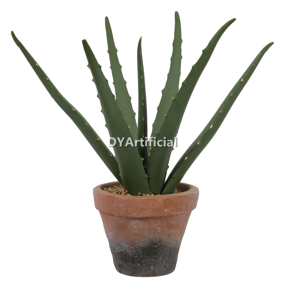 Aloe Vera In Eva Pot 29CM Height Indoor