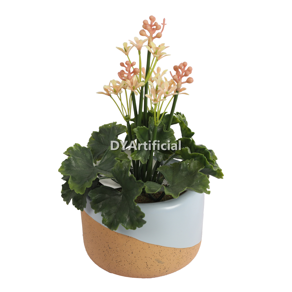 Potted Flowers Green Plants 20CM Height Indoor