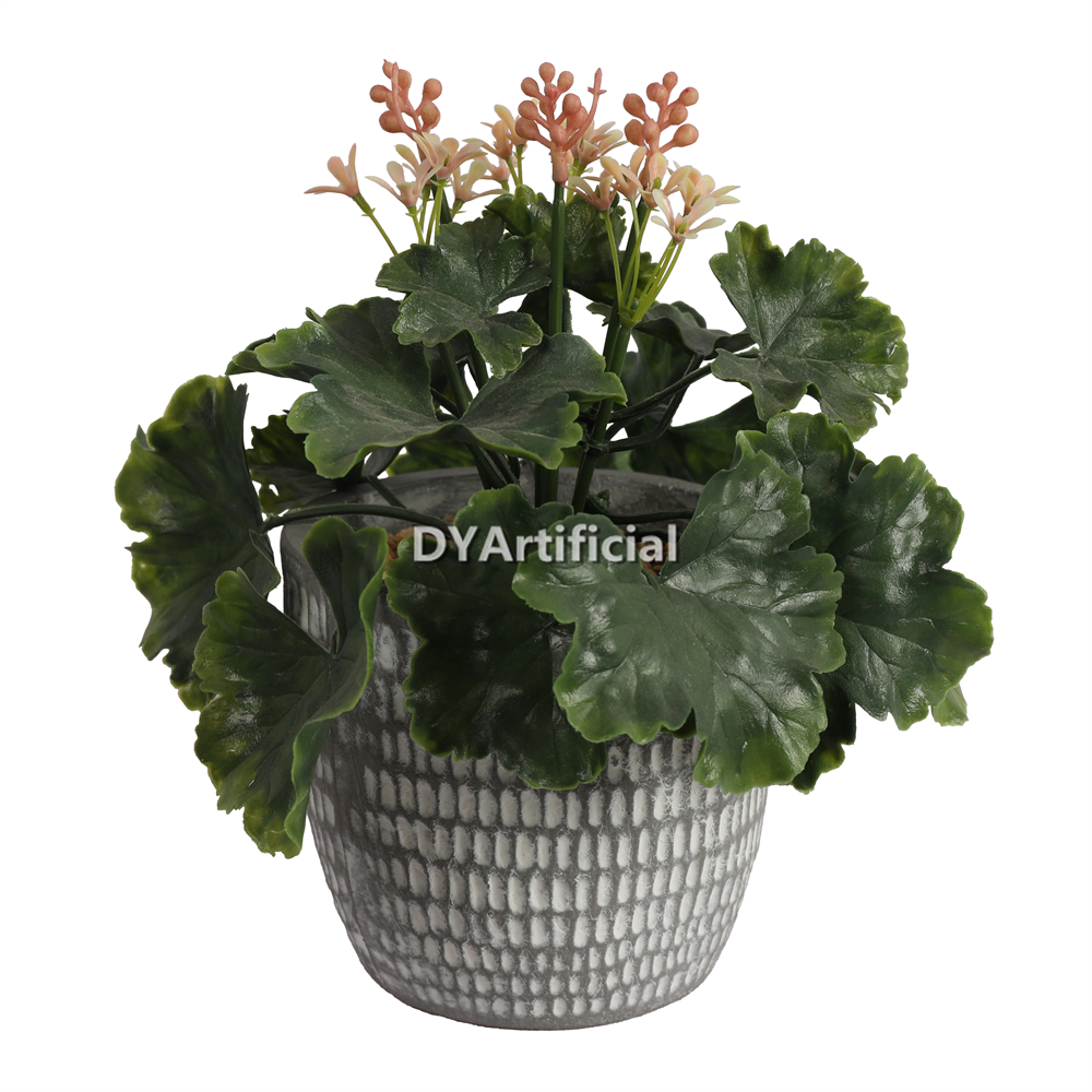 Potted Flowers Green Plants 20.5CM Height Indoor