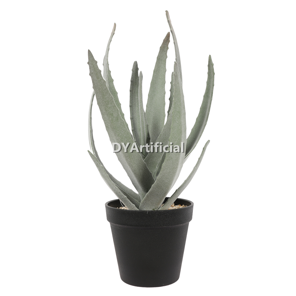 Aloe Vera In Plastic Pot 37CM Height Indoor