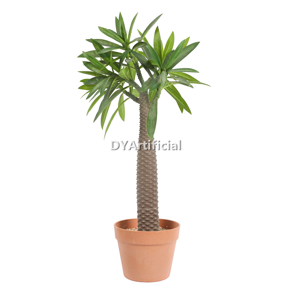 Artificial Pachypodium Lamerei Drake Plants 72CM Height Indoor