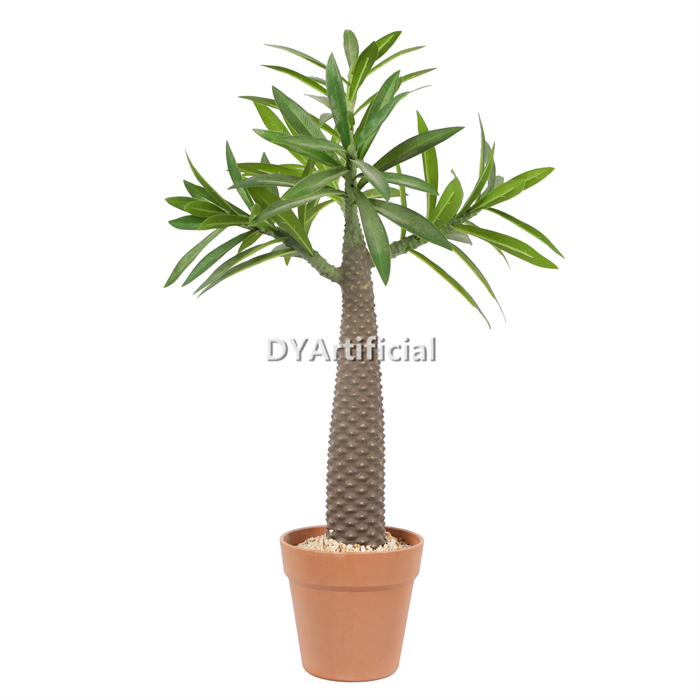 Artificial Pachypodium Lamerei Drake Plants 63CM Height Indoor
