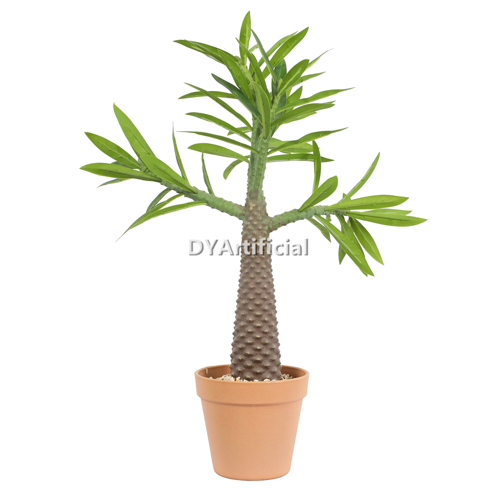 Artificial Pachypodium Lamerei Drake Plants 50CM Height Indoor
