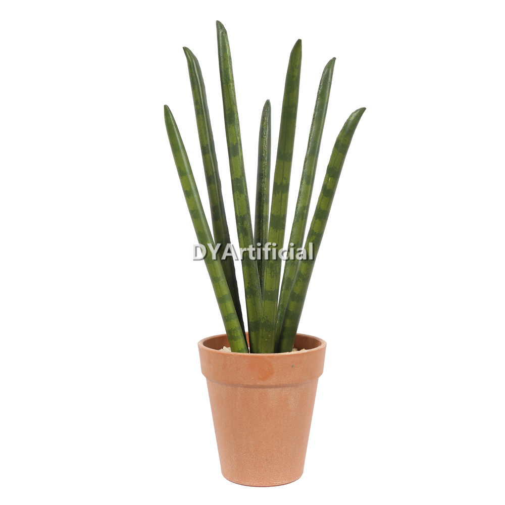 Green Aloe Vera Stick 33cm Height Indoor