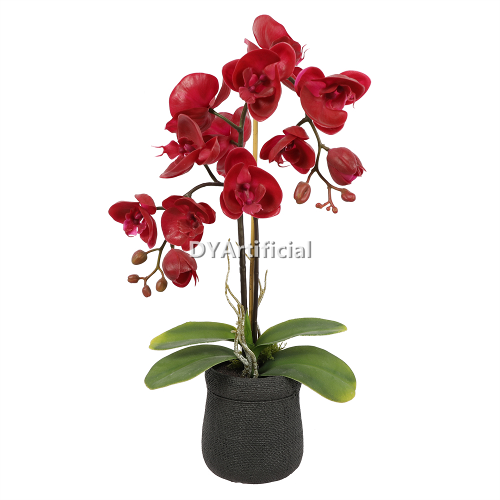 Artificial Phalaenopsis Plant 50CM Height
