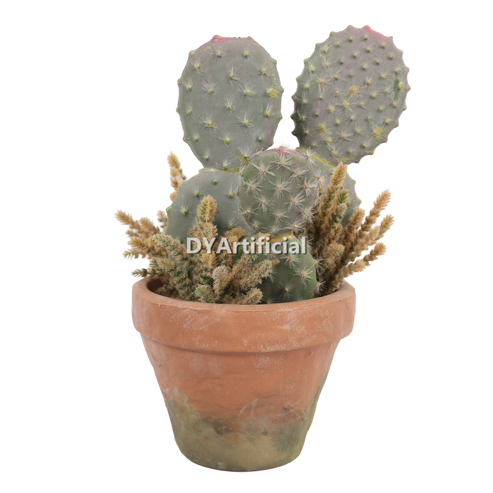 Cactus Assorted With Plastic Plant In Eva Pot 23CM Height
