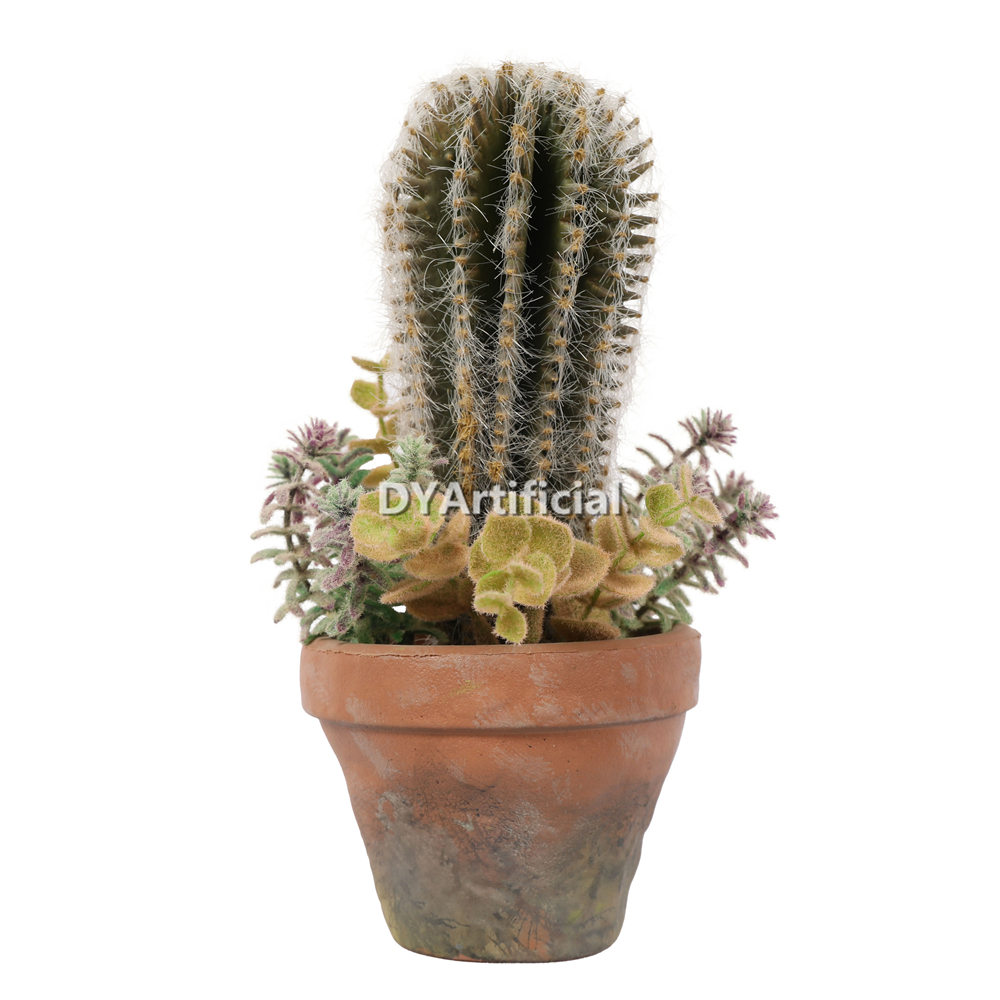 Cactus Assorted With Plastic Plant In Eva Pot 24CM Height