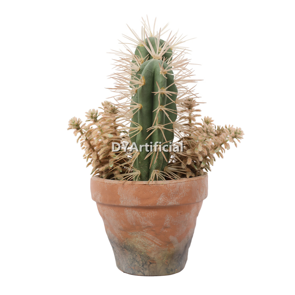 Cactus Assorted With Plastic Plant In Eva Pot 24CM Height