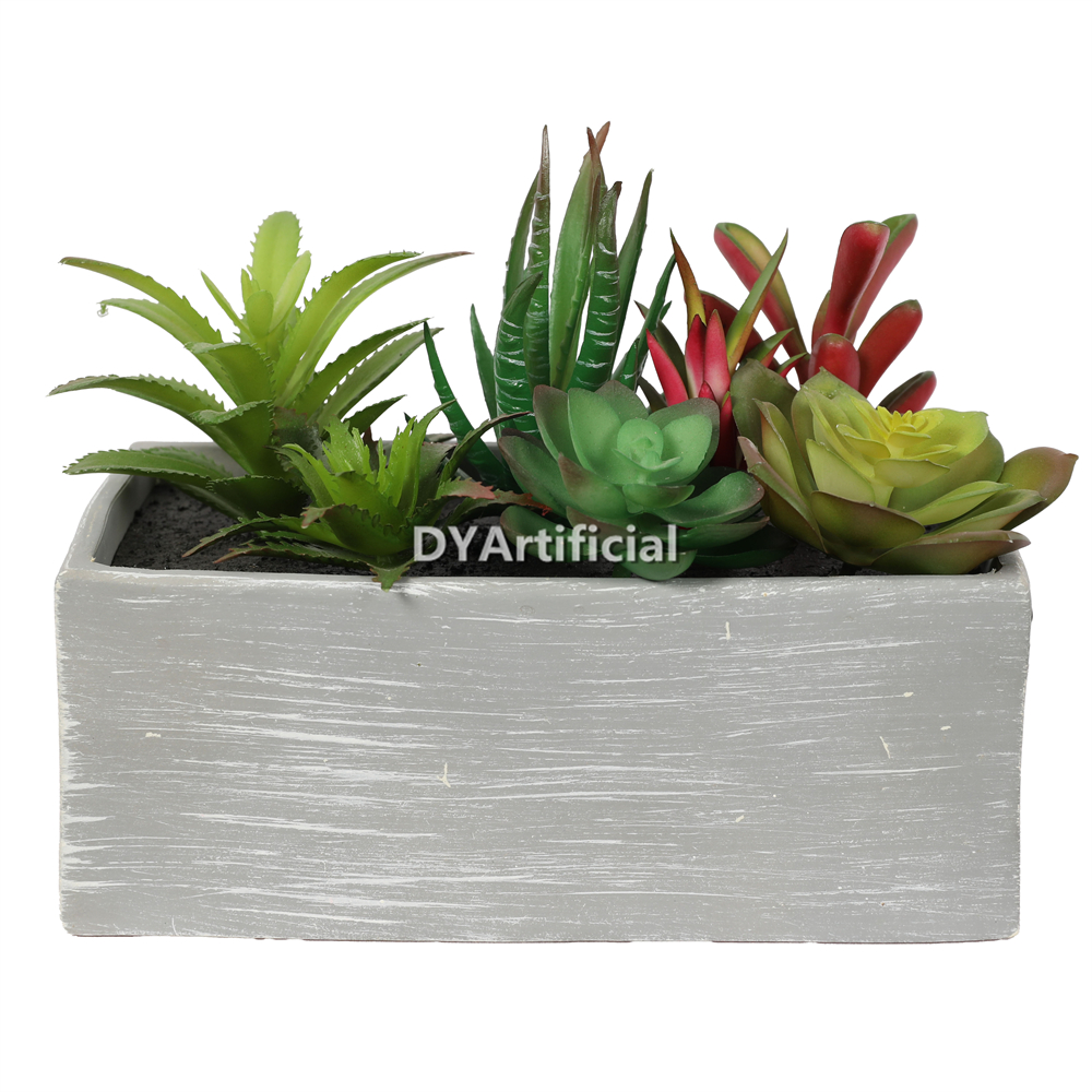 Succulent Plants In Eva Pot 15.5CM Height