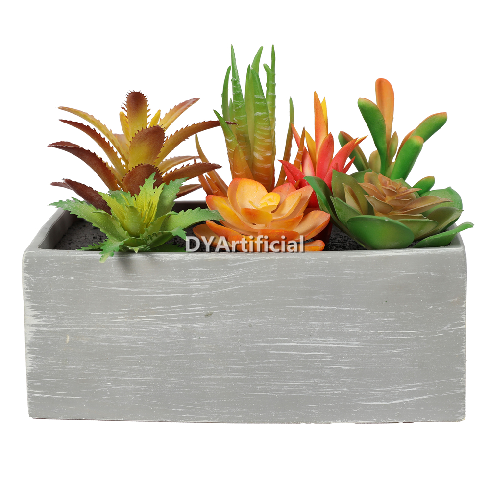 Succulent Plants In Eva Pot 15.5CM Height