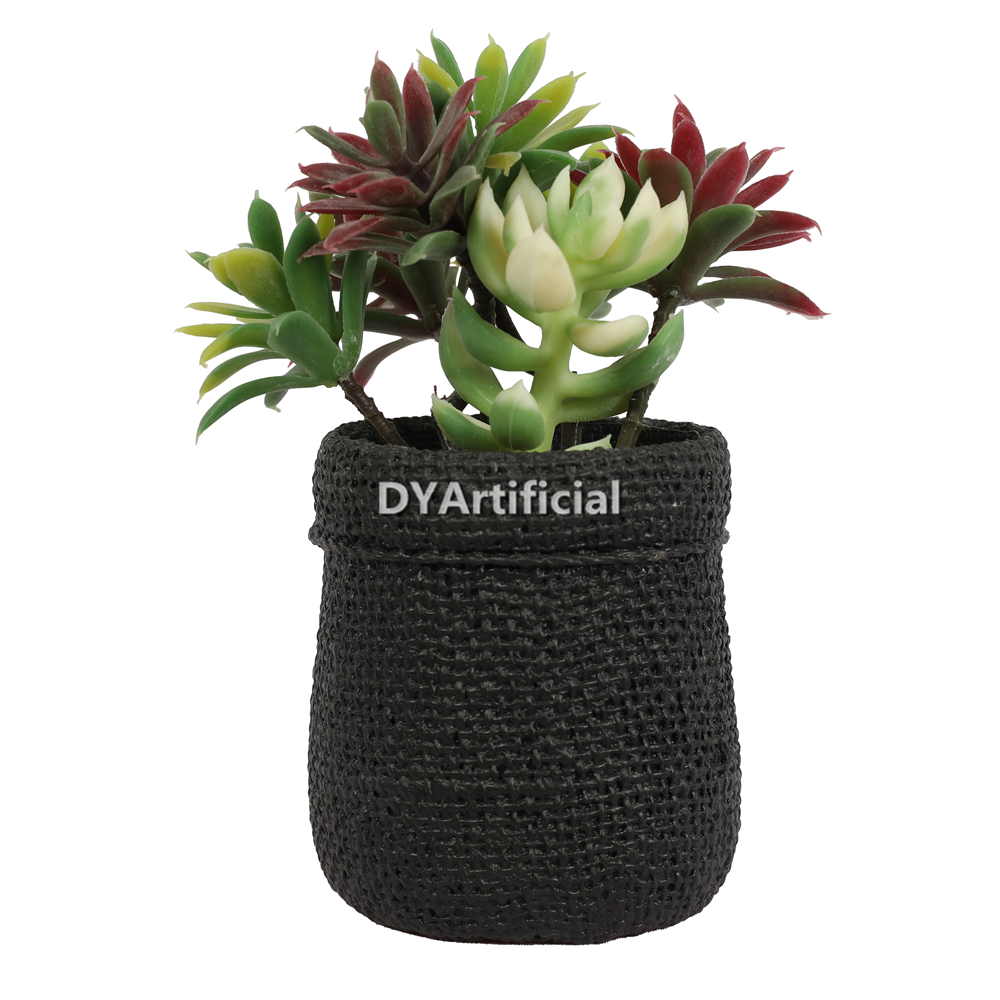 Succulent Plants In Eva Pot 13CM Height