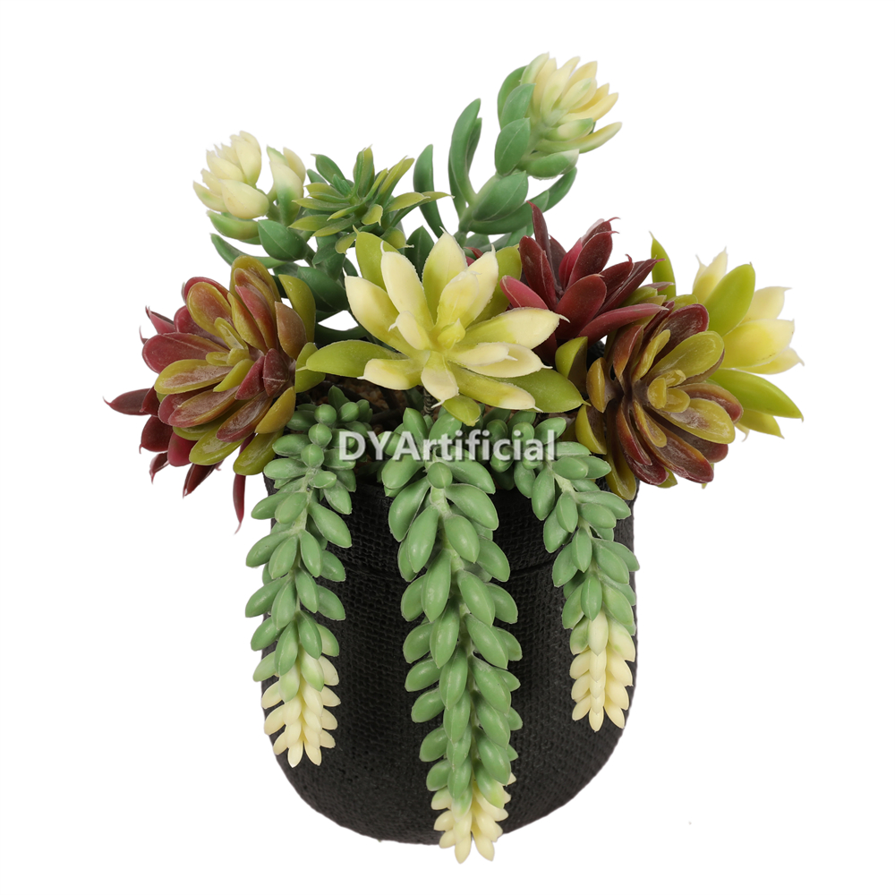 Succulent Plants In PVC Pot 21CM Height
