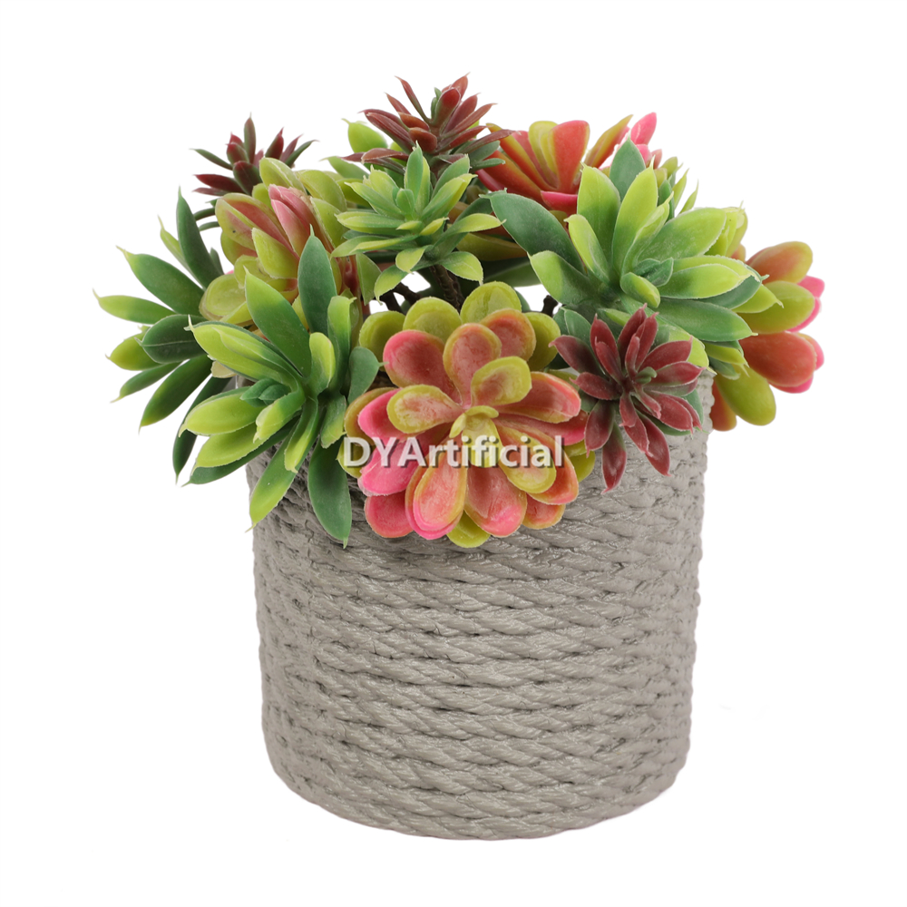 Succulent Plants In PVC Pot 18.5CM Height