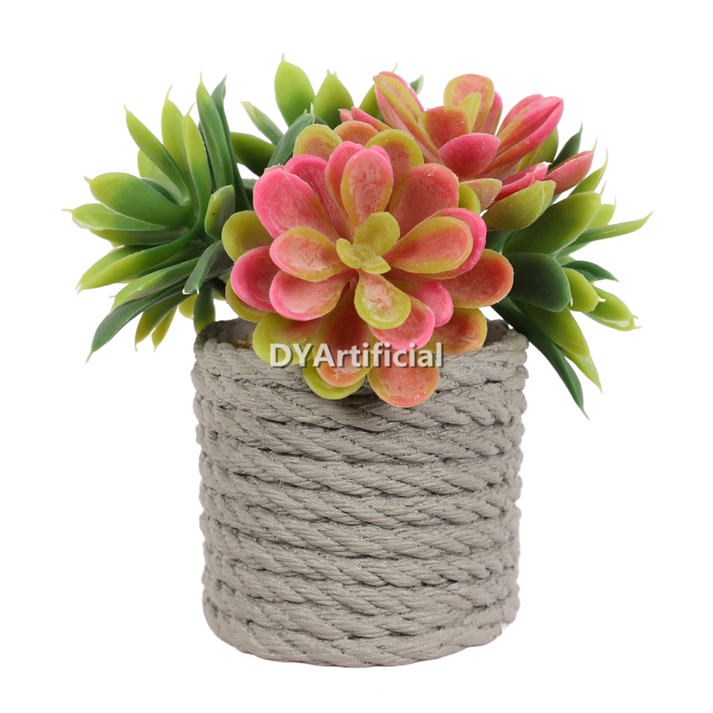 Succulent Plants In PVC Pot 13CM Height