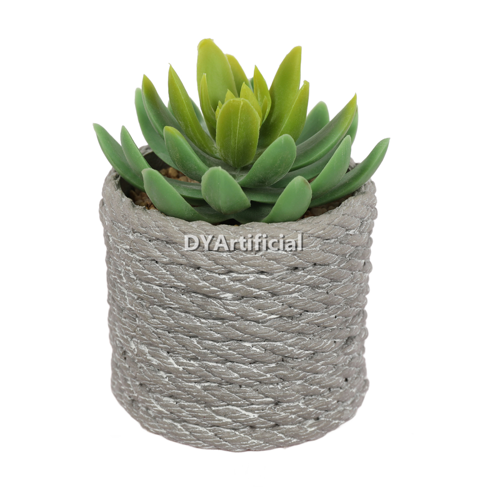 Lotus In PVC Pot 11.5CM Height