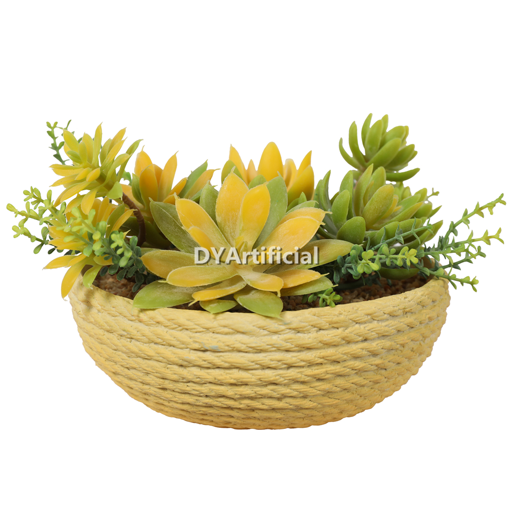 Lotus In Eva Pot 14CM Height