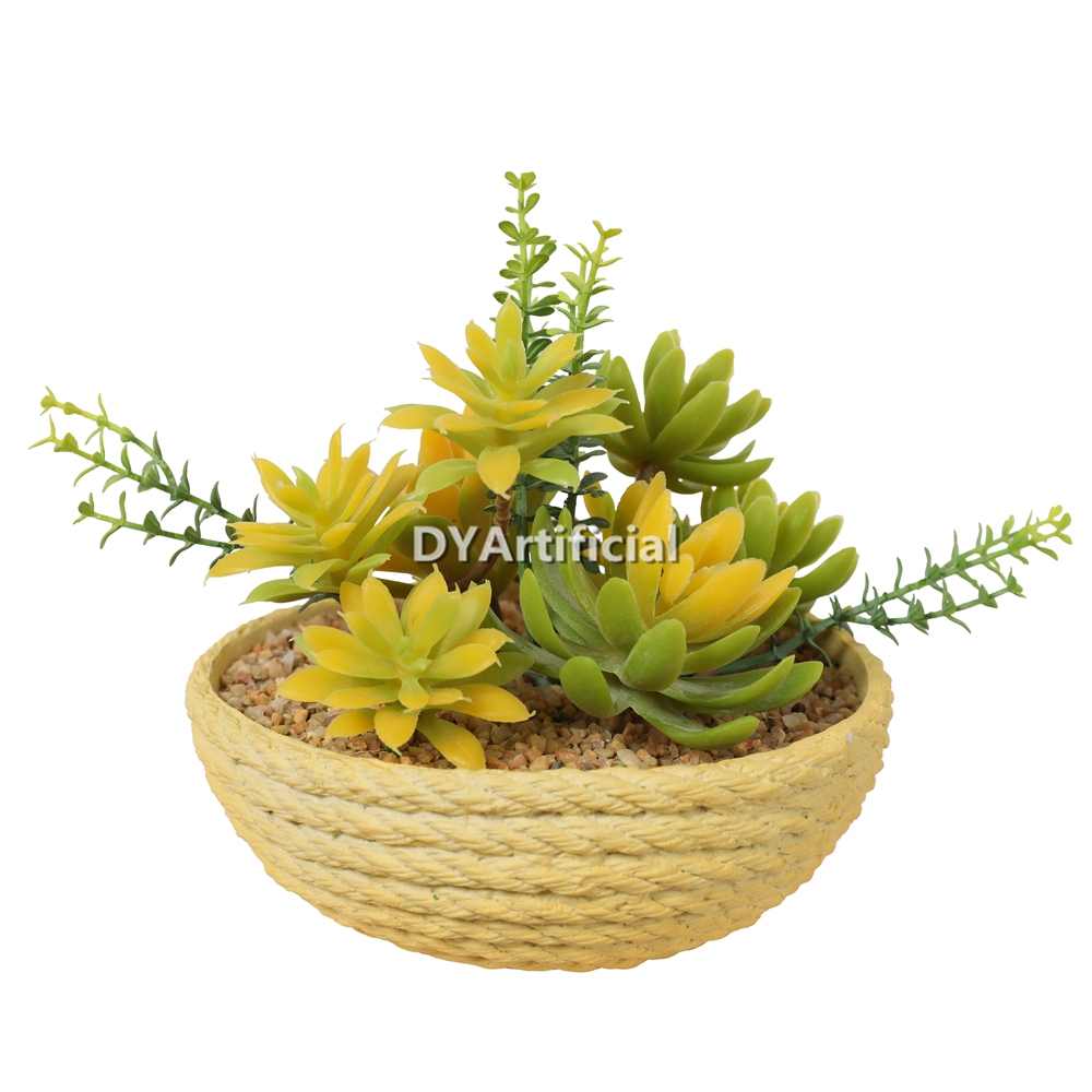 Lotus In Eva Pot 13.5CM Height