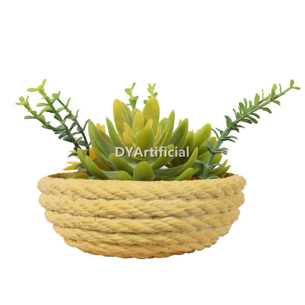 Lotus In Eva Pot 9CM Height