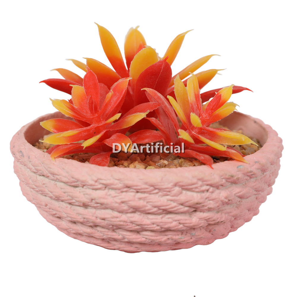 Lotus In Eva Pot 7.5CM Height