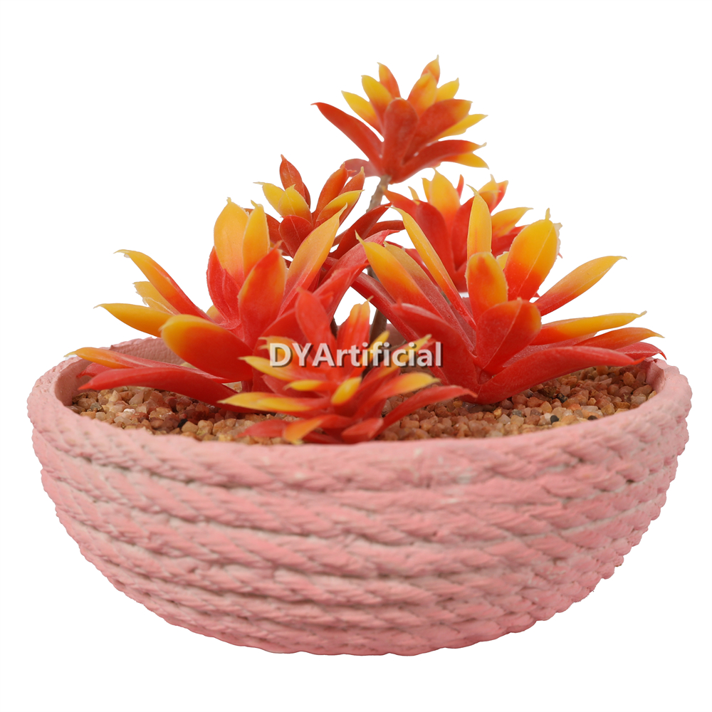 Lotus In Eva Pot 11.5CM Height