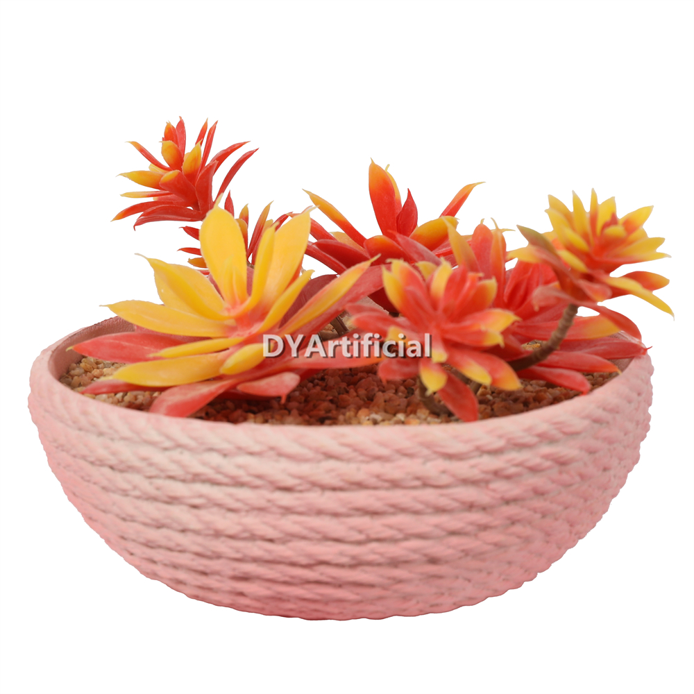 Lotus In Eva Pot 12CM Height