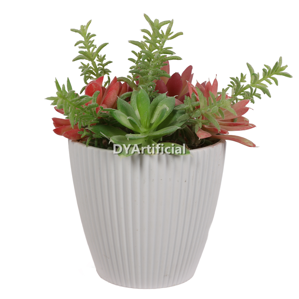Succulent Garden In Melamine Pot 19CM Height