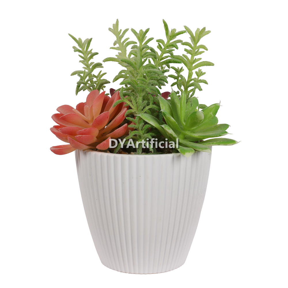 Succulent Garden In Melamine Pot 17CM Height