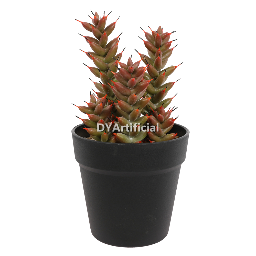 Succulent Plants In Plastic Pot 26.5CM Height