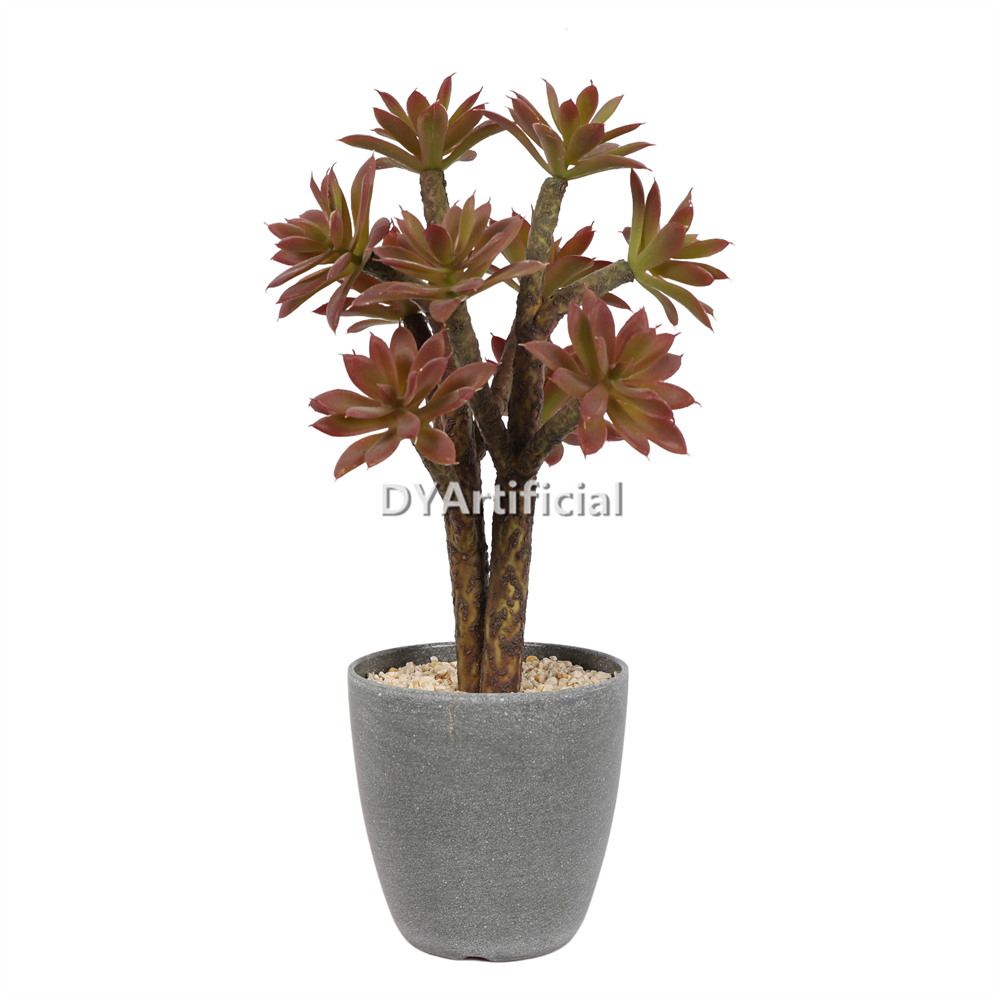 Aloe Vera In Plastic Pot 35.5CM Height