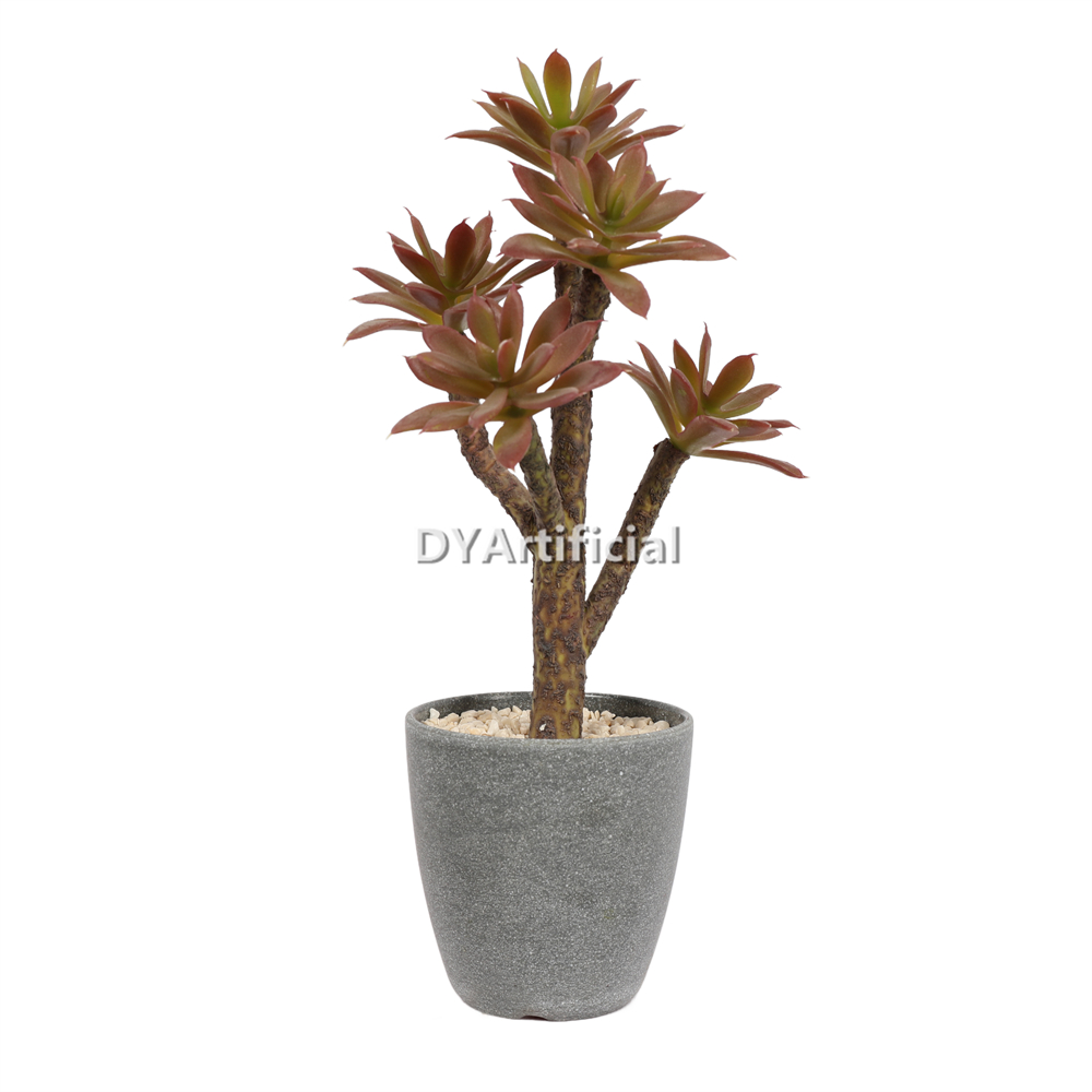 Aloe Vera In Plastic Pot 31CM Height