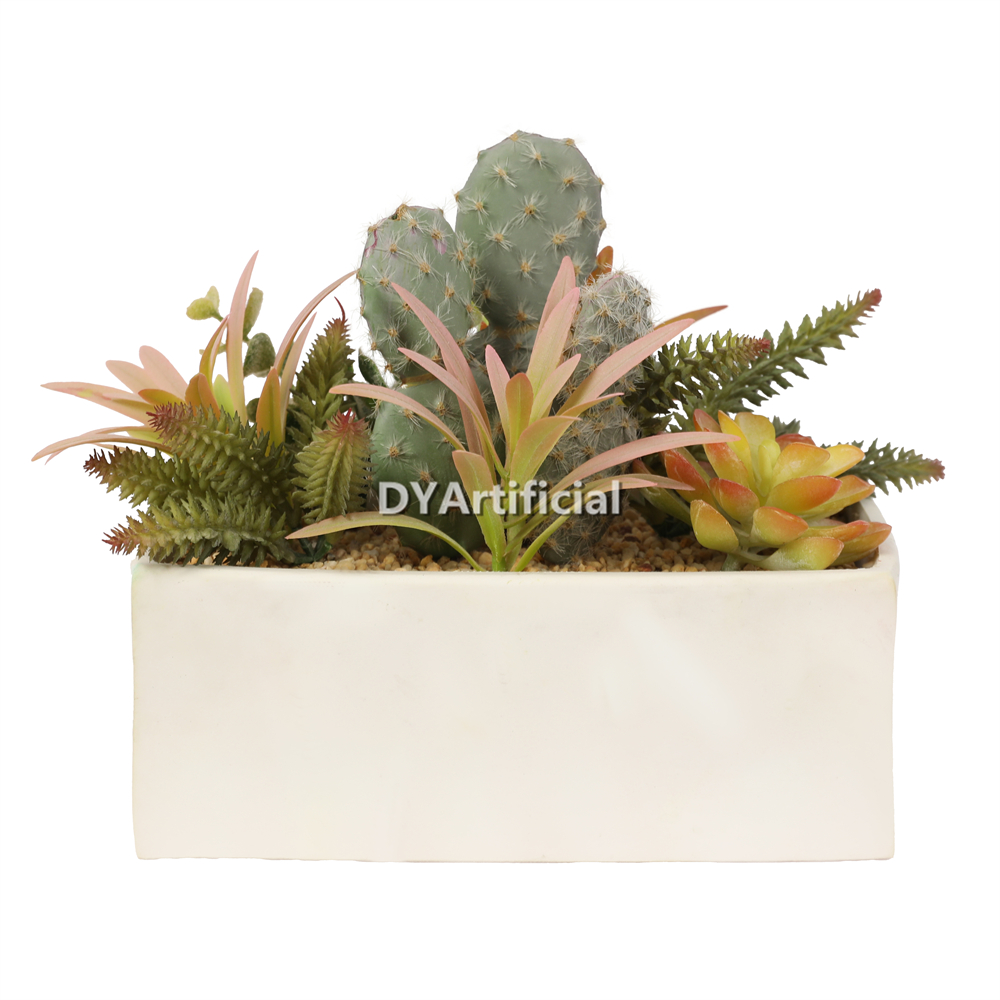 Succulent Plants Assorted In Eva Pot 18CM Height
