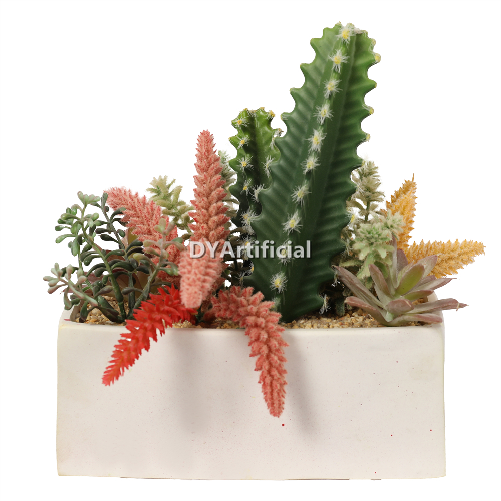 Succulent Plants Assorted In Eva Pot 22CM Height
