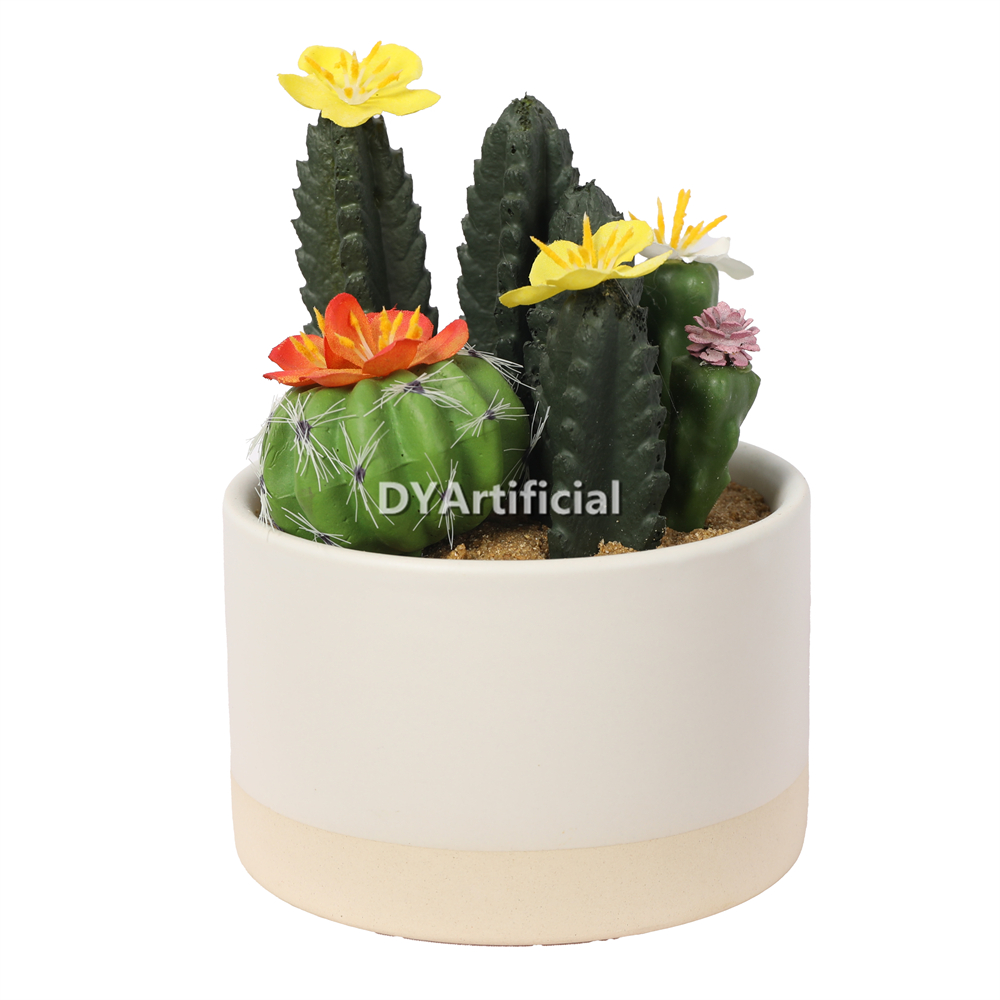 Cactus In Ceramic Pot 13.5CM Height