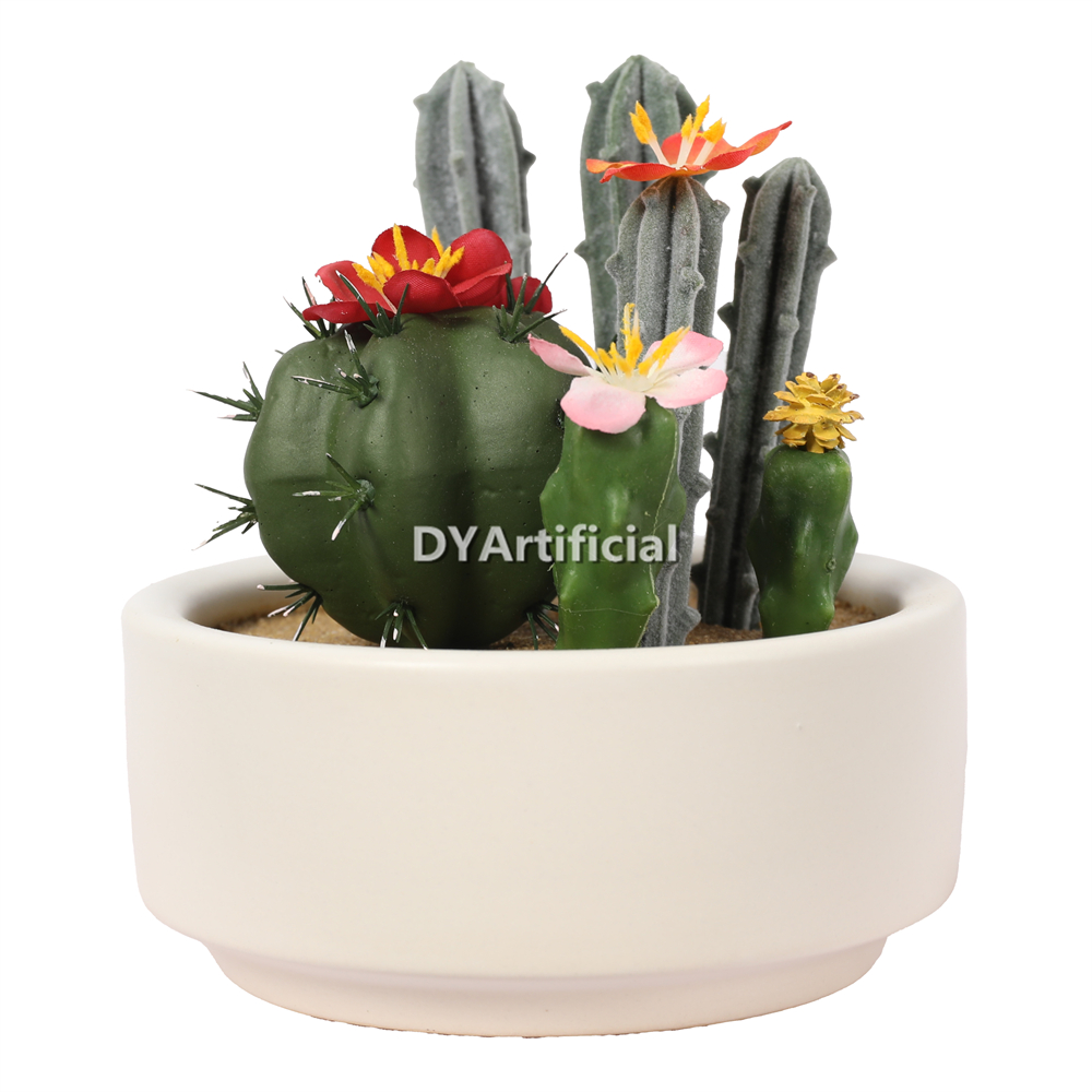 Cactus In Ceramic Pot 12CM Height