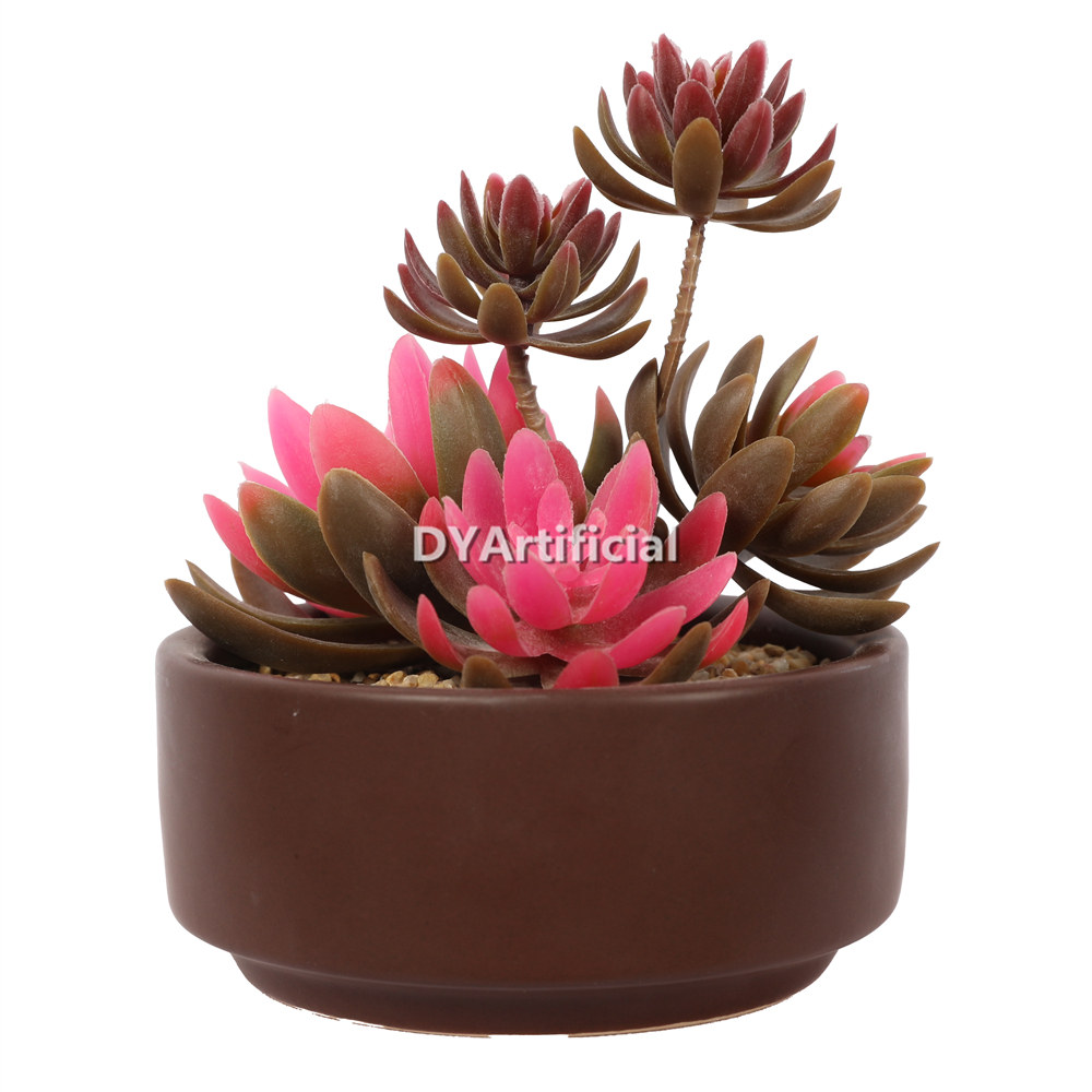 Lotus In Ceramic Pot 14CM Height