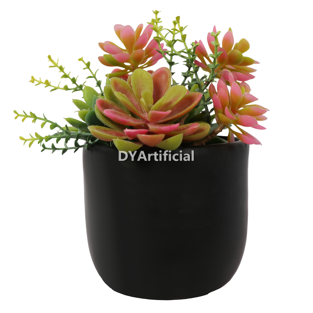 Lotus In Ceramic Pot 16CM Height