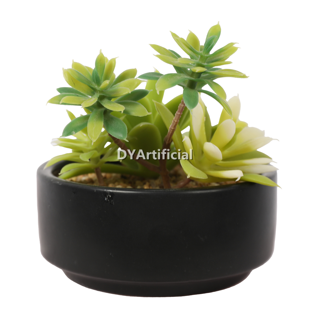 Lotus In Ceramic Pot 13CM Height